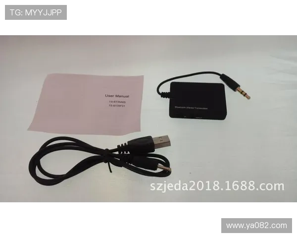 PA视讯手机快速连接,确保每一次视讯沟通都顺畅无阻 PA视讯手机快速连接,确保每一次视讯沟通都顺畅无阻